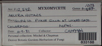 Image Associated With the Occurence